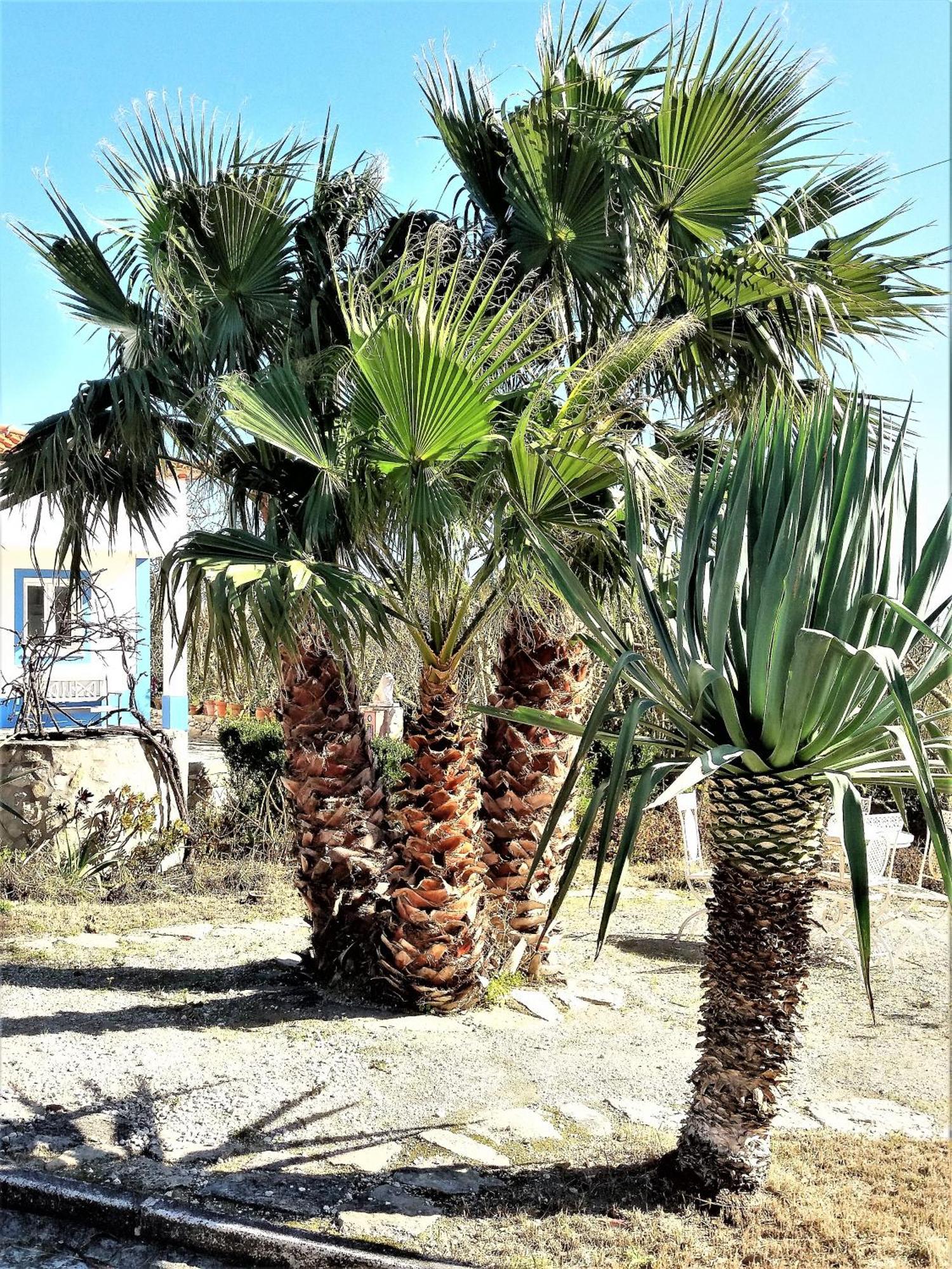 Agua Rocha Villa Serra de Mangues Стая снимка